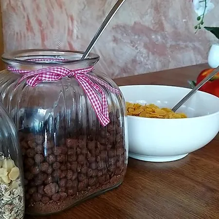 Hotel Хотел Свети Теодор Тирон Starozagorski Bani